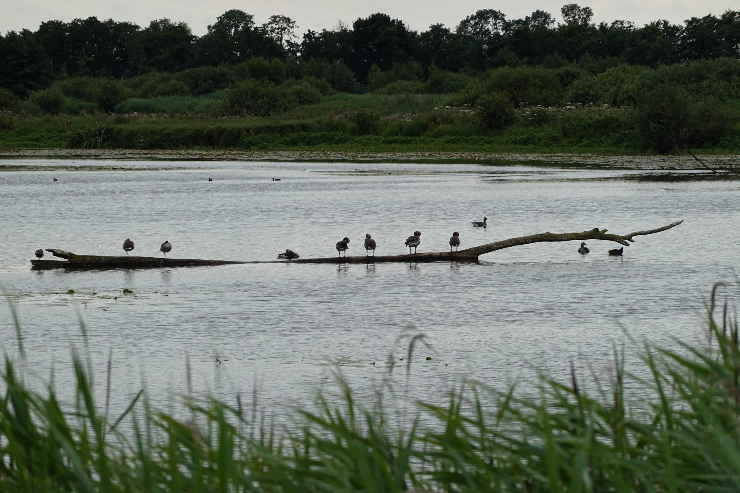 Rondje in de omgeving