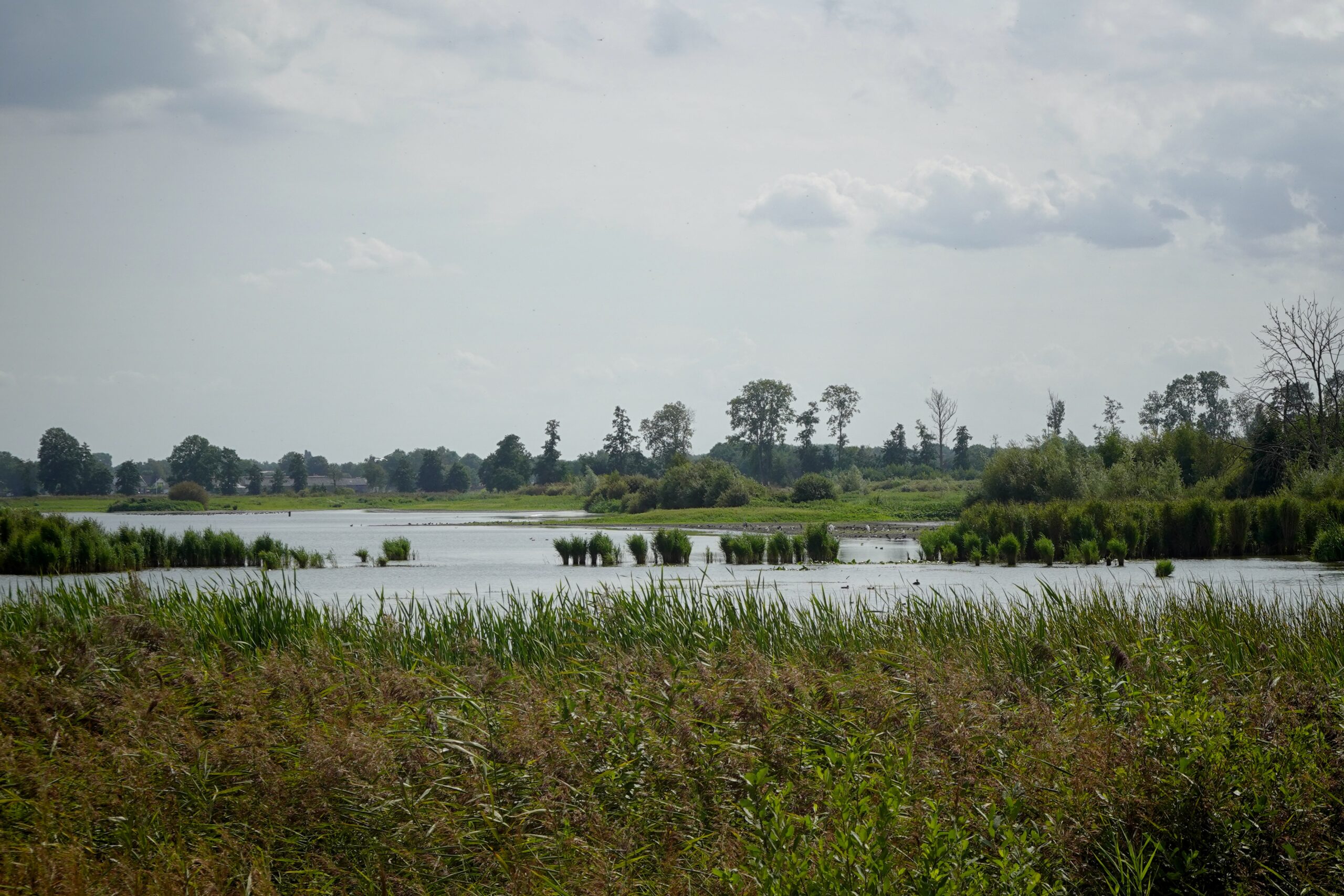Rondje omgeving