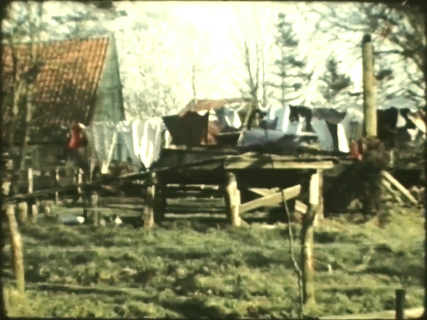 Videopagina