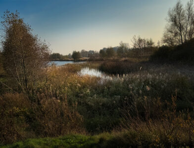 Nog enkele herfstplaatjes