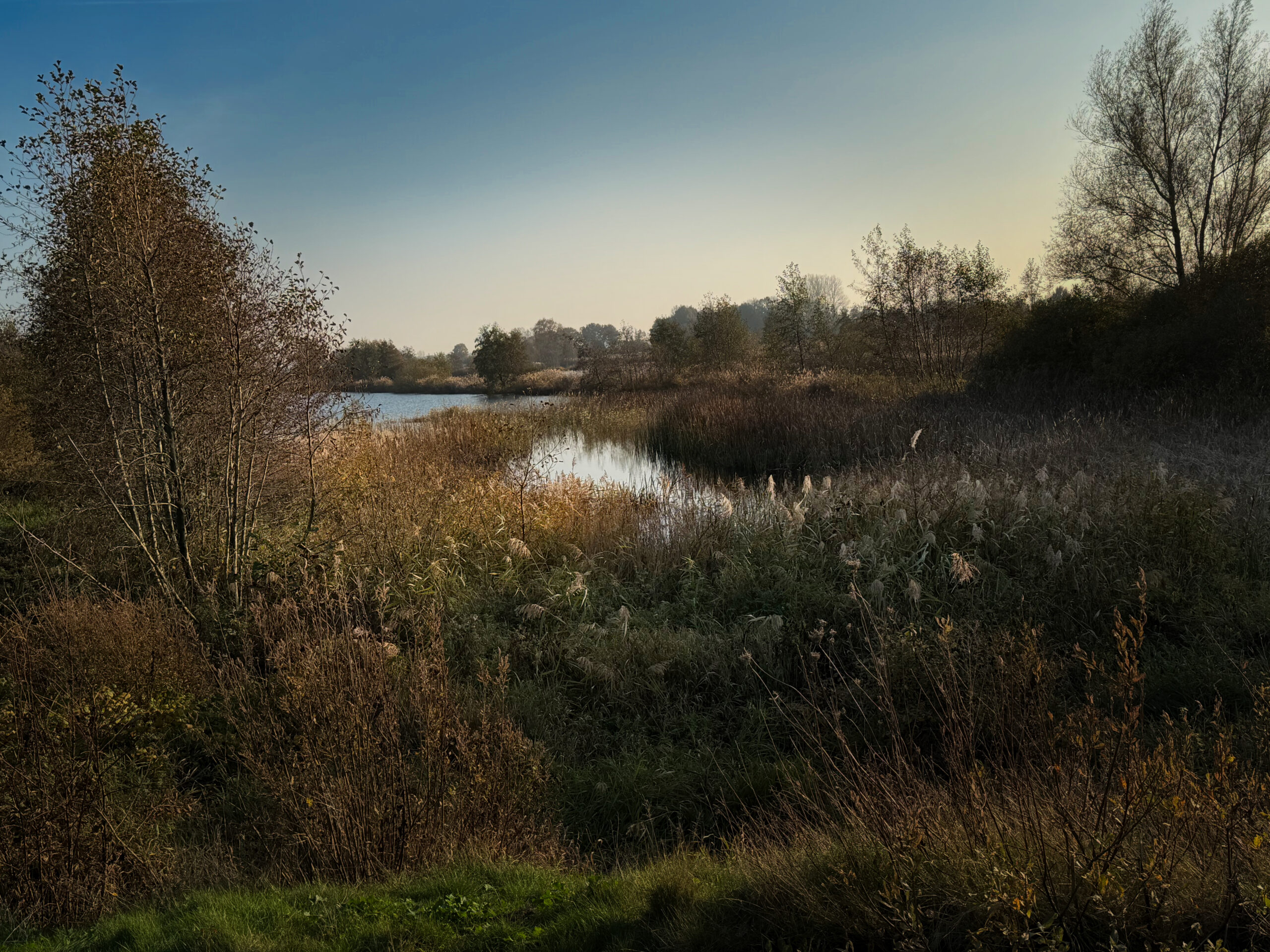 Nog enkele herfstplaatjes