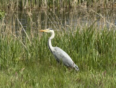 Natuur dichtbij huis